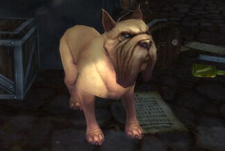 Mastiff.jpg