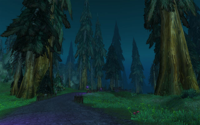 Bestand:Silverpine Cataclysm.jpg