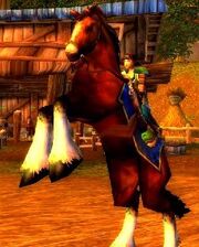 Cheval.jpg