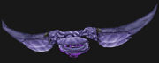 NetherstrandLongbow.jpg