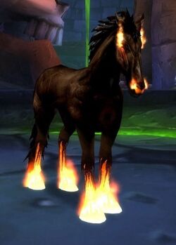 Felsteed2