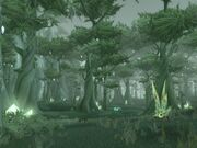 Forêt de Terokkar