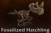 Fossilized hatchling