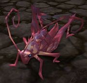 Red Cricket