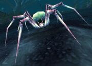 Spindleweb Spider