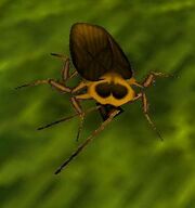 Undercity Cockroach