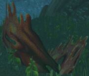 Iron Coral