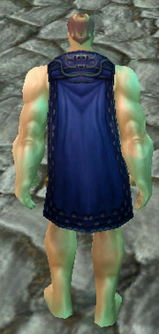 Renegade Cloak, Cobblestone Background, Human Male