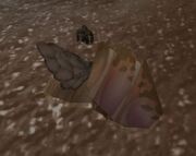 Anub'et'kan's Carapace