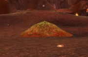 Fertile Volcanic Soil