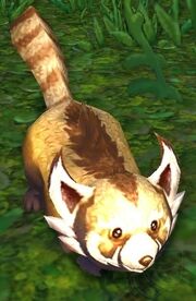 Mountain Panda
