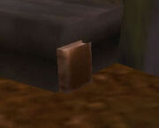 Unknown Crusader's Diary