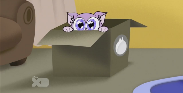 File:Boxxx.png