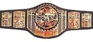ECWtagbelt