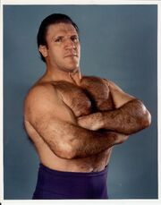 Bruno-Sammartino