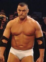 Vladimir Kozlov
