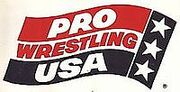 Pro Wrestling USA