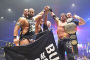Bullet Club 2014 (2)