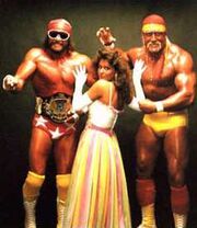 TheMegaPowers.jpg