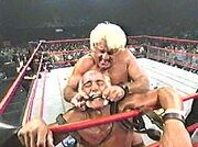 Hoganflair uncensored.jpg
