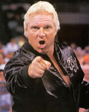 BobbyHeenan012