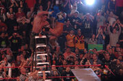 Cena-edge3-5.jpg
