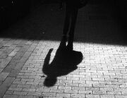 Walking-shadow