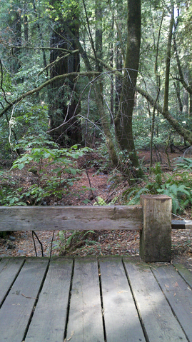 File:Woods2.png