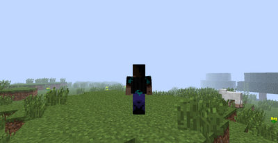 Cape