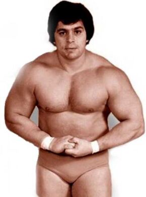 Dino Bravo