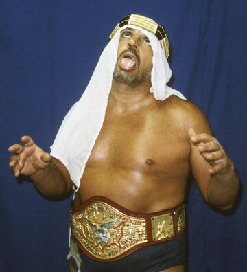 The Sheik