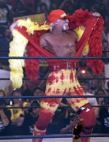 File:Hulk Hogan3.jpg