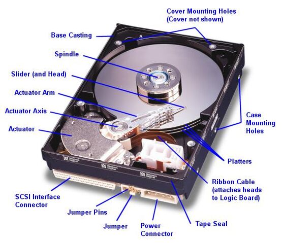 File:Ssdvshdd-1.jpeg