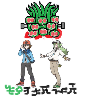 Pokemon Ruby and Pearl