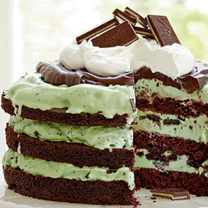 Mint-chocolate-chip-ice-cream-cake-sl-l