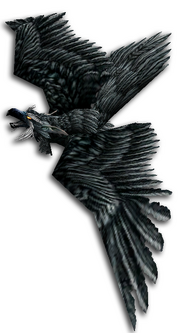 Stormcrow