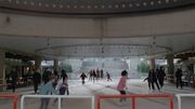 Capitol Ice, Rockville, Maryland