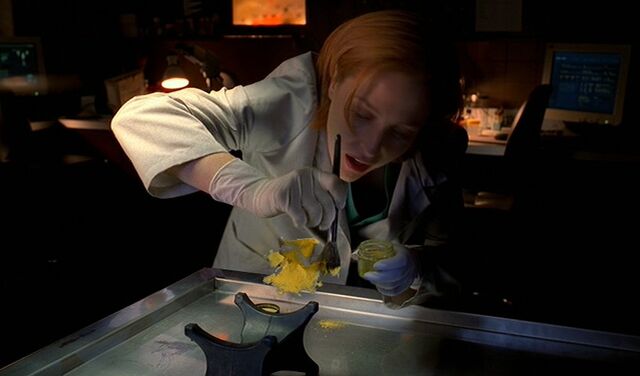 File:Scully&InvisibleMan.jpg