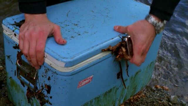 File:Plastic water cooler.jpg
