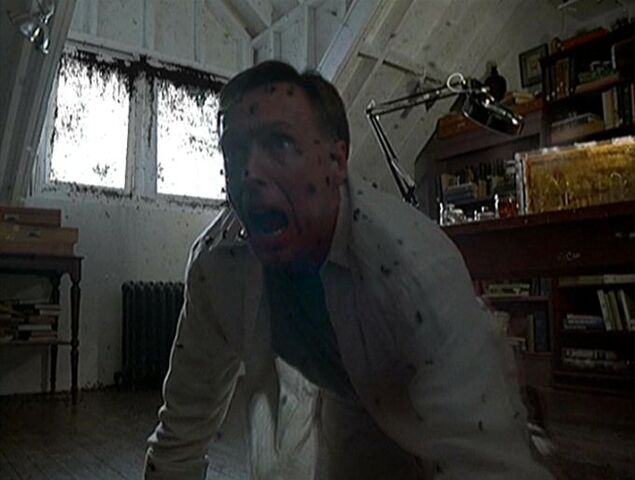 File:Doctor Valedespino attacked by bees.jpg