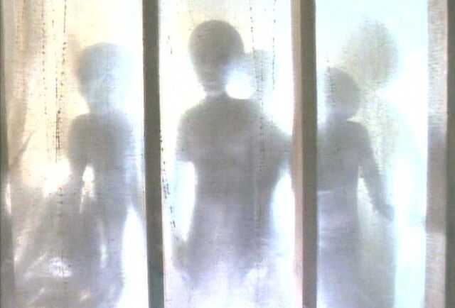 File:Grey Aliens Abduction Duane Barry Rectangle.jpg