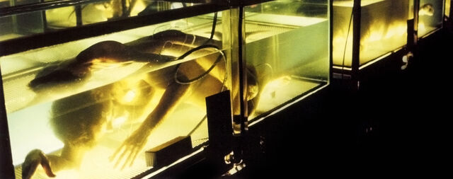 File:Tanks Hybrids Zeus Storage Erlenmeyer Flask.jpg