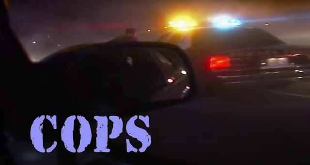 File:COPS title card.png