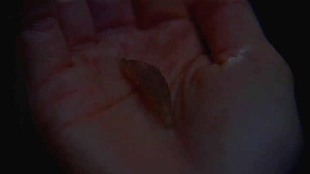 File:Long-clawed alien's claw.jpg