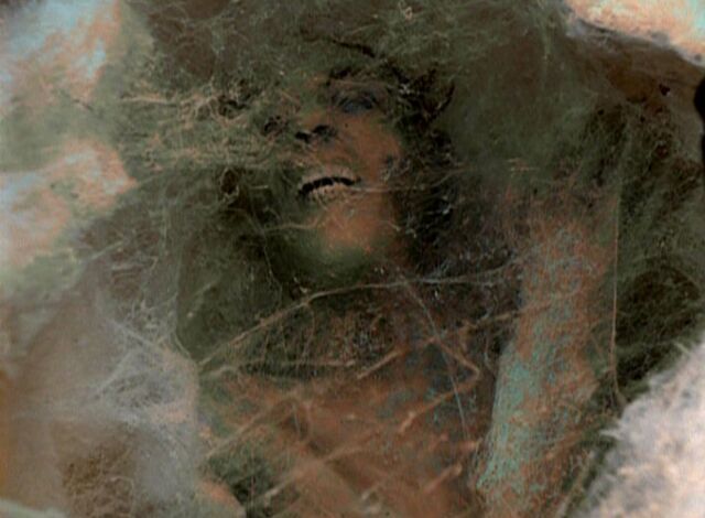 File:Corpse in cocoon.jpg