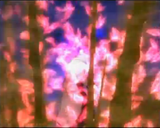 Genjutsu shin