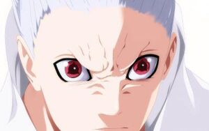 Shin