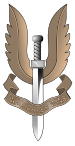 File:SAS.png