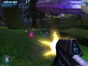 Halo