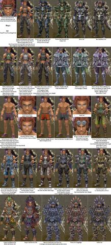 Fichier:Compilation Armor Reyn1.jpg